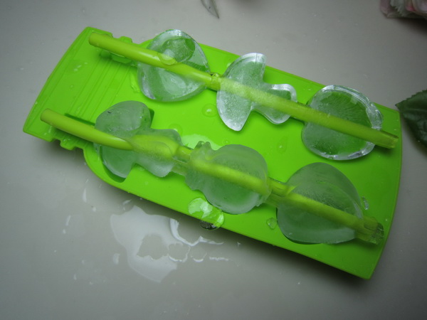 水果棒硅胶冰模 硅胶冰格 硅胶冰格厂家