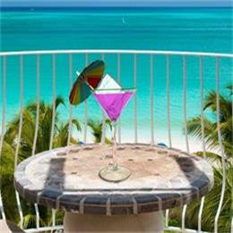 硅胶的冰格 硅胶的冰格