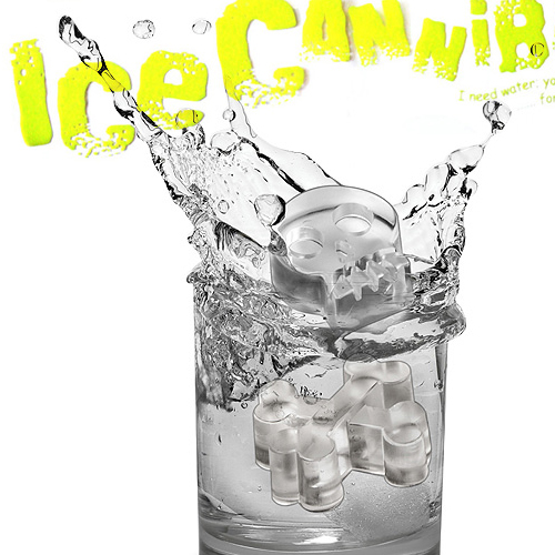 万圣节骷髅骨头硅胶冰模 